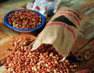 Raw Peanut’s: An Important Part of a Racing Pigeon’s Diet